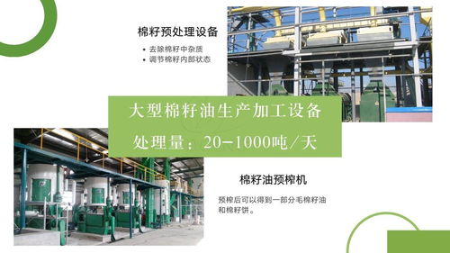 成套棉籽油生產(chǎn)加工設(shè)備 大中小型棉籽油生產(chǎn)加工設(shè)備 廠(chǎng)家供應(yīng)